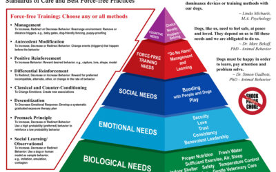 Hierarchy of Dog Needs